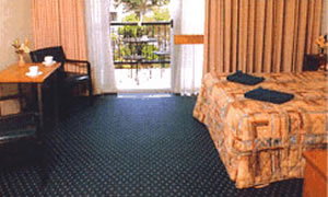 Tudor Inn Motel - Maitland Accommodation 2