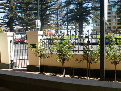 Grandview House Apartments - Maitland Accommodation 5