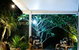 Atlantic Byron Bay - thumb 3