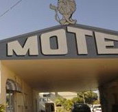 Best Western Kimba Lodge Motel - Maitland Accommodation