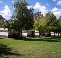 Riverbend Caravan Park - Maitland Accommodation