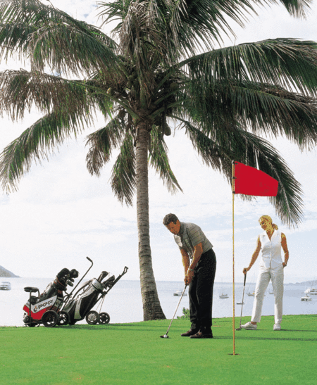 Adventure Island Whitsundays (south Molle Island) - Maitland Accommodation 2