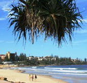 Mariners Caloundra - Maitland Accommodation