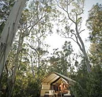 Paperbark Camp - Maitland Accommodation