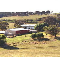 Sun Valley Eco Farm - Maitland Accommodation