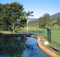 Golden Pond Retreat - Maitland Accommodation