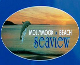 A Mollymook Beach Seaview - Maitland Accommodation 0