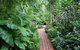 Shambhala Retreat Magnetic Island Cottages - thumb 7