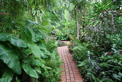 Shambhala Retreat Magnetic Island Cottages - Maitland Accommodation 7