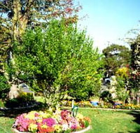 Jolly Swagman Caravan Park - Maitland Accommodation