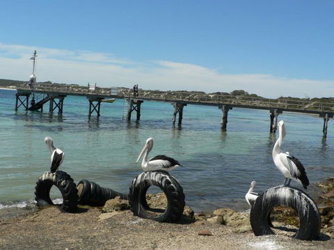 Fareview Beach House - Maitland Accommodation 3