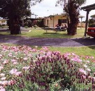 Brigadoon Holiday Units - Maitland Accommodation