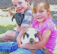 Mansfield Park - Maitland Accommodation