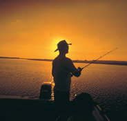 Point Stuart Wilderness Lodge - Maitland Accommodation