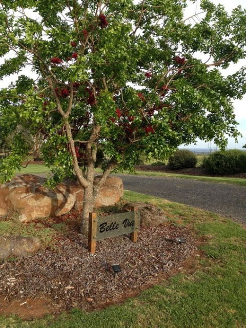 Belle Vue Studio - Maitland Accommodation 0