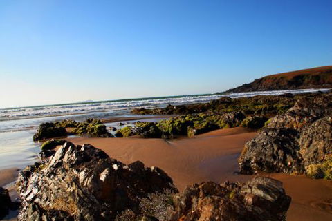 ArtHOUSE Beachfront Accommodation - Maitland Accommodation 8