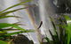 Alcheringa Holiday House - thumb 7