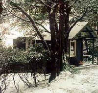 Waldheim Cabins - Maitland Accommodation
