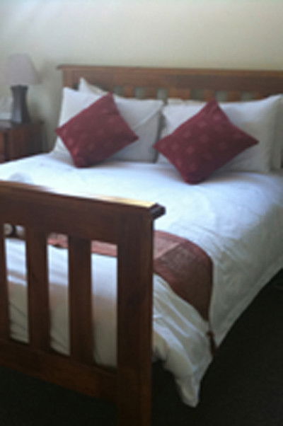 Grass-Tree - Maitland Accommodation 1