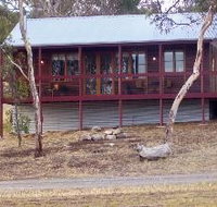 Ivybrook Vineyard Cottage - Maitland Accommodation