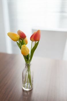 Easystay Apartments Raglan Street - Maitland Accommodation 11