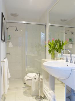 Andre's Mews Luxury Serviced Apartments - Maitland Accommodation 24