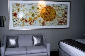 Art Series - The Olsen - Maitland Accommodation 44