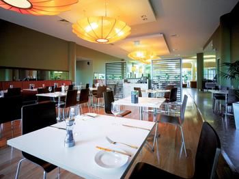 Ibis Melbourne Glen Waverley - Maitland Accommodation 18
