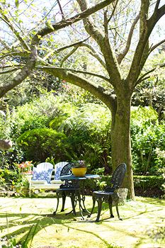 Adeline Bed And Breakfast - Maitland Accommodation 7