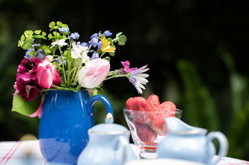Adeline Bed And Breakfast - Maitland Accommodation 21
