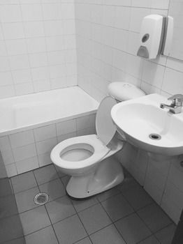 Elephant Backpacker Sydney - Hostel - Maitland Accommodation 25