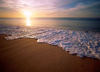 Mollymook Paradise Haven Motel - Maitland Accommodation 1