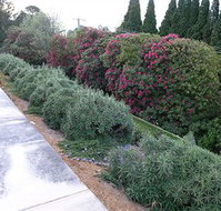 Silvermere - Maitland Accommodation