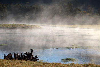 Yabbaloumba Retreat - Maitland Accommodation 16