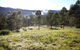 Yabbaloumba Retreat - thumb 21