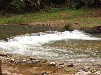 Yabbaloumba Retreat - Maitland Accommodation 23