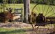 Yabbaloumba Retreat - thumb 24