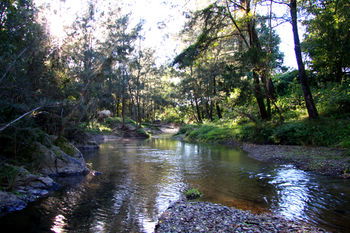 Yabbaloumba Retreat - Maitland Accommodation 25