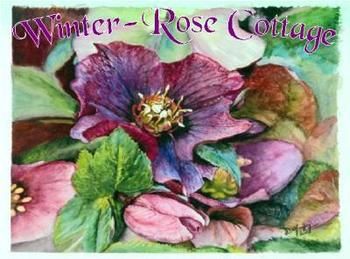 A Winter-rose Cottage B&B - Maitland Accommodation 0