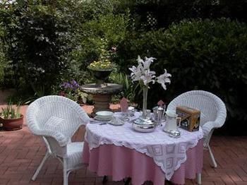 A Winter-rose Cottage B&B - Maitland Accommodation 1