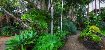 Maleny Tropical Retreat Balinese B&b - Maitland Accommodation 11