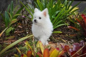 Mapleton Cabins & Caravan Park - Maitland Accommodation 8