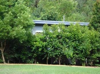 Mapleton Cabins & Caravan Park - Maitland Accommodation 12