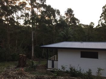 Mapleton Cabins & Caravan Park - Maitland Accommodation 19