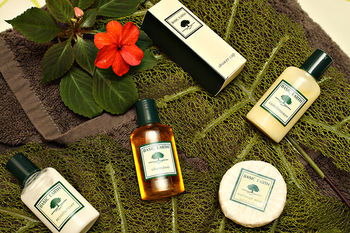 Mapleton Cabins & Caravan Park - Maitland Accommodation 31