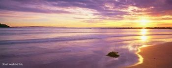 Kims Beachside Lodges - Maitland Accommodation 22