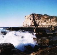 Terrigal Lagoon Bed and Breakfast - Maitland Accommodation