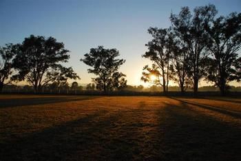 Stockmans Motel - Maitland Accommodation 16