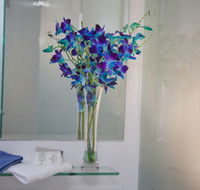 Grand Hotel Wyong - Maitland Accommodation