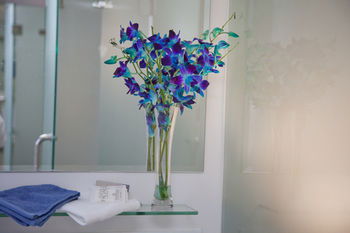 Grand Hotel Wyong - Maitland Accommodation 0